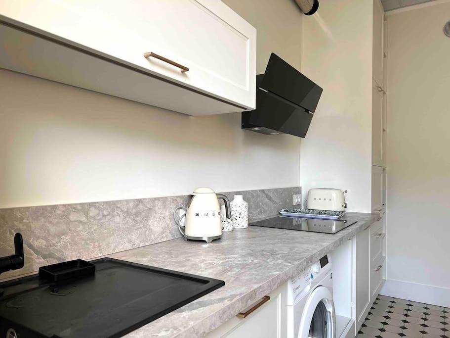Appartement Entierement Renove Proche Gare 格勒诺布尔 外观 照片